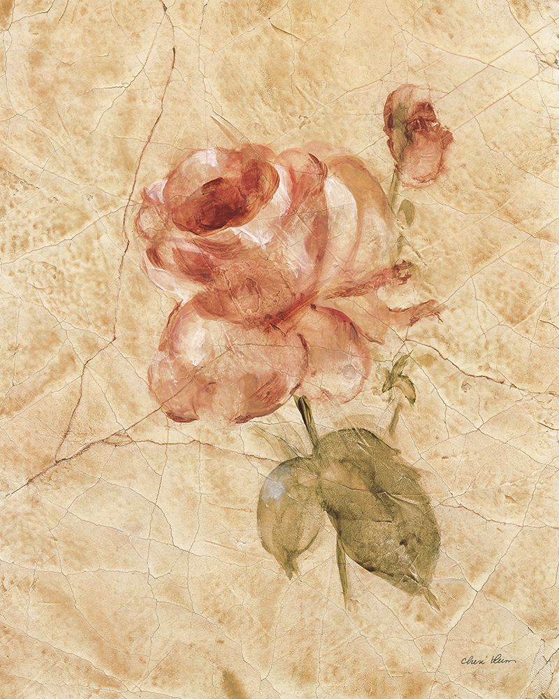 Rose on Cracked Linen art print by Cheri Blum for $57.95 CAD