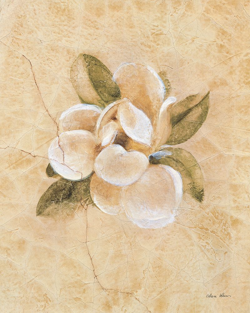 Magnolia on Cracked Linen art print by Cheri Blum for $57.95 CAD
