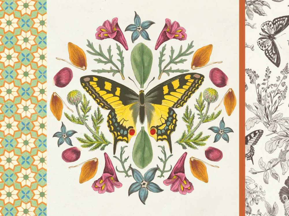 Butterfly Mandala III with Borders art print by Wild Apple Portfolio for $57.95 CAD