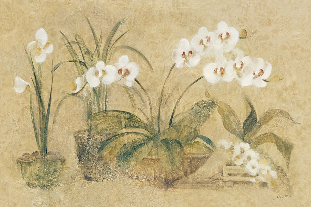 Four Potted Orchids art print by Cheri Blum for $57.95 CAD