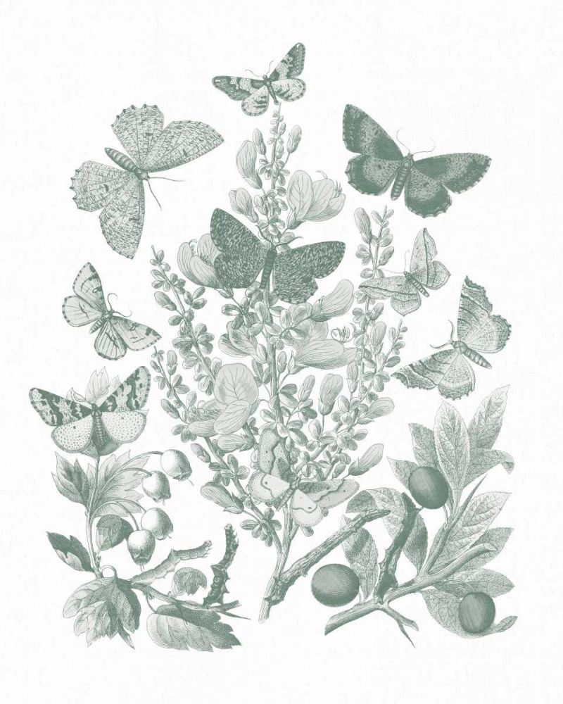 Butterfly Bouquet II Sage art print by Wild Apple Portfolio for $57.95 CAD