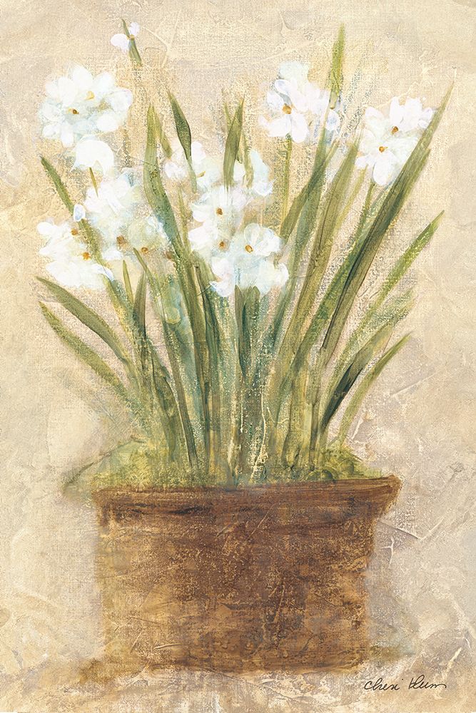 Garden White Narcissus art print by Cheri Blum for $57.95 CAD