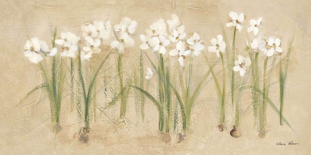 Row of White Narcissus art print by Cheri Blum for $57.95 CAD
