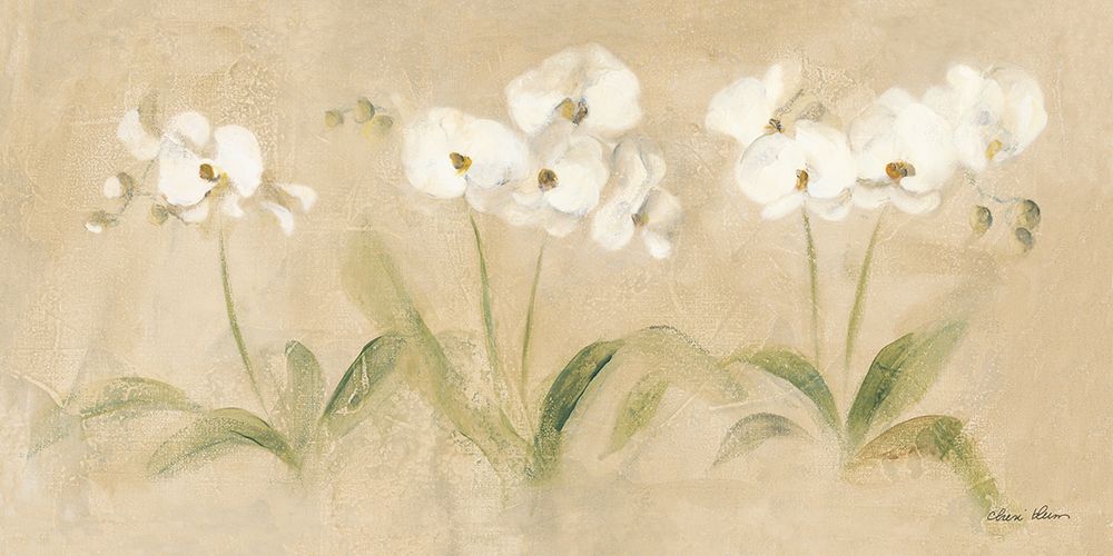 Row of White Orchids art print by Cheri Blum for $57.95 CAD