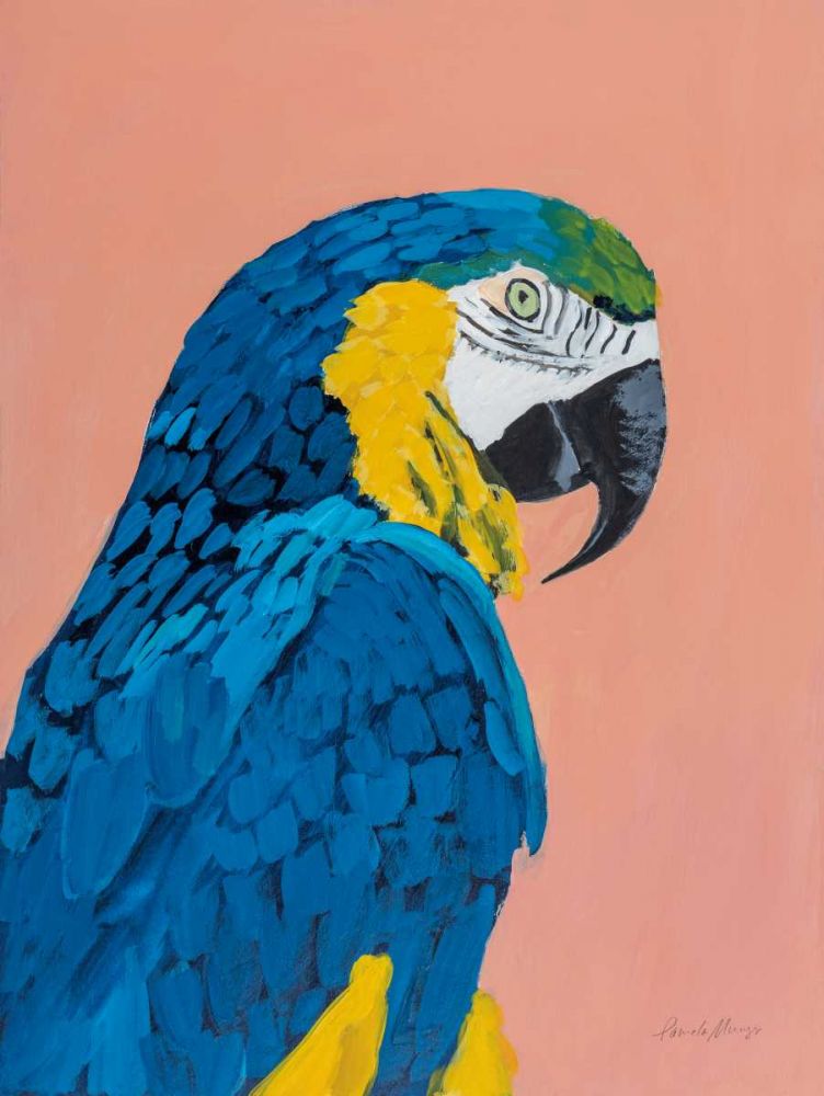 Blue and Gold Macaw art print by Pamela Munger for $57.95 CAD