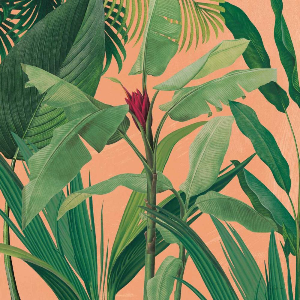 Dramatic Tropical I Boho art print by Sue Schlabach for $57.95 CAD