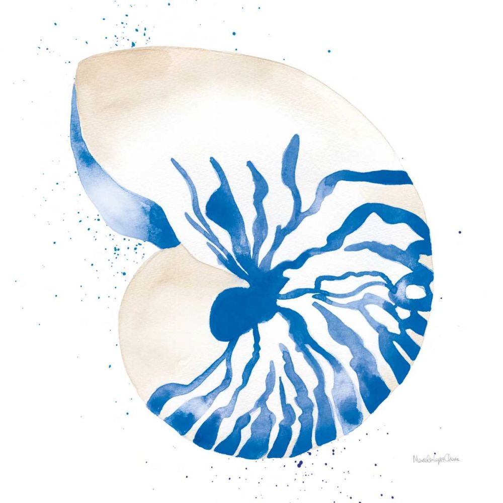 Nautilus Sq art print by Mercedes Lopez Charro for $57.95 CAD