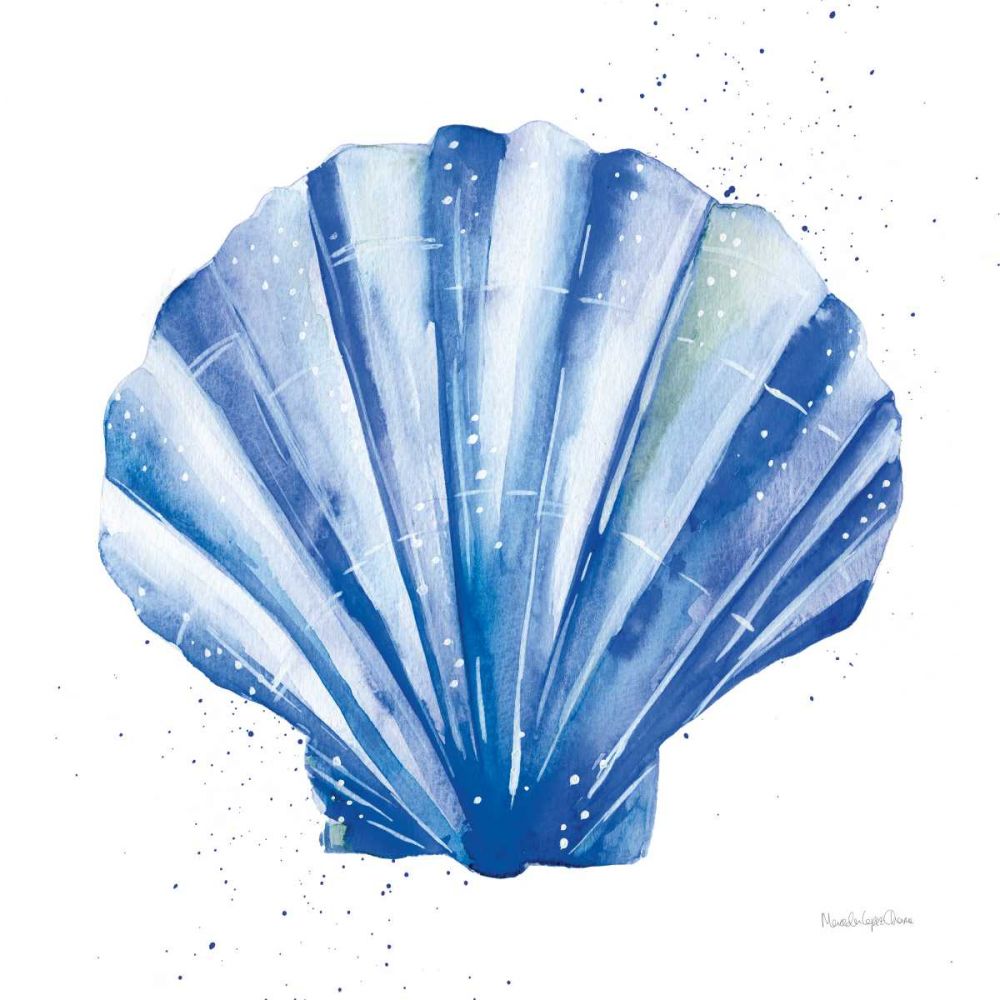 Scallop Shell Sq art print by Mercedes Lopez Charro for $57.95 CAD