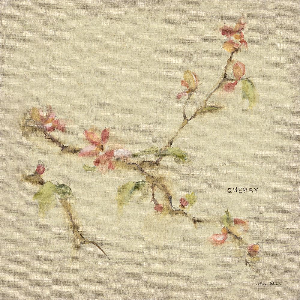 Cherry Blossom art print by Cheri Blum for $57.95 CAD
