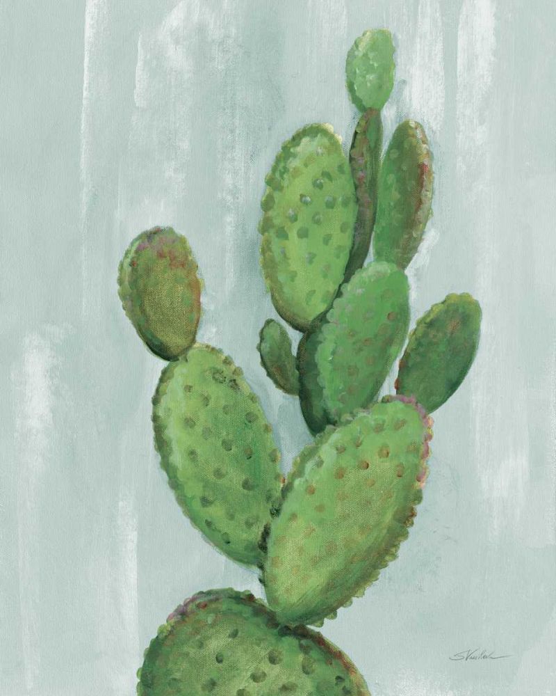 Front Yard Cactus I Slate art print by Silvia Vassileva for $57.95 CAD