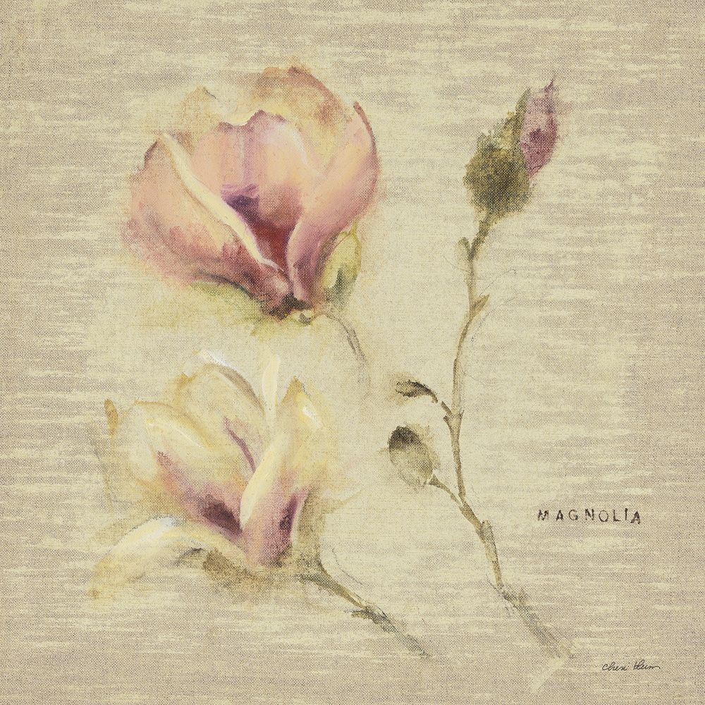 Magnolia Blossom art print by Cheri Blum for $57.95 CAD