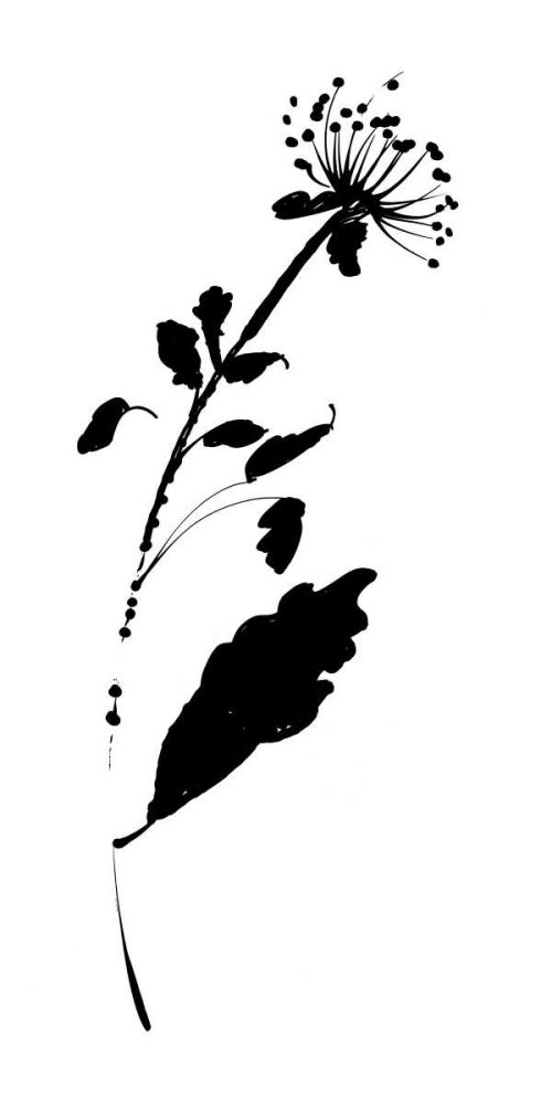 Silhouette Floral III art print by Wild Apple Portfolio for $57.95 CAD