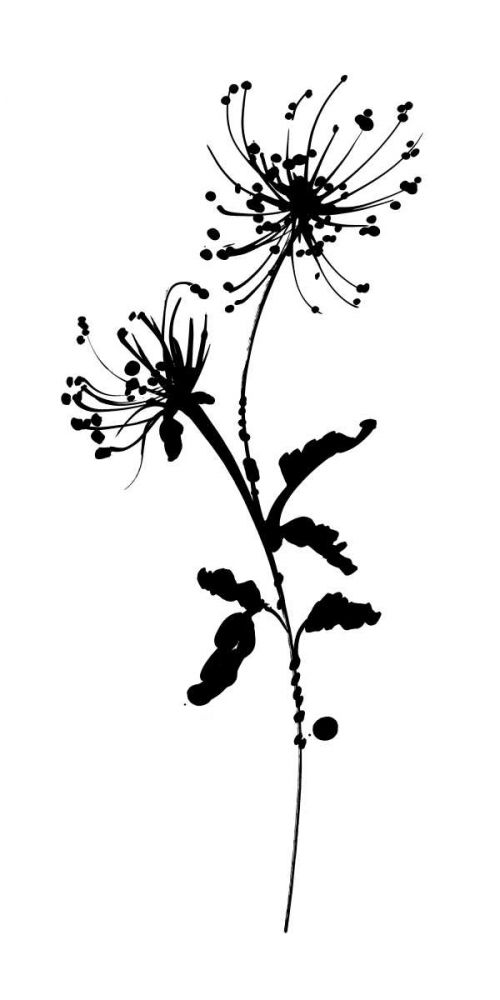 Silhouette Floral IV art print by Wild Apple Portfolio for $57.95 CAD