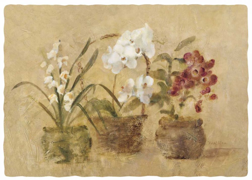 Collection of Orchids-48x35.5 art print by Cheri Blum for $57.95 CAD