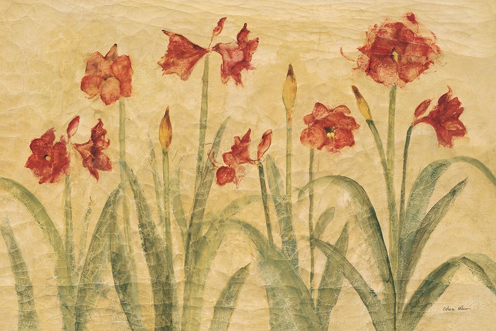 Row of Red Amaryllis art print by Cheri Blum for $57.95 CAD