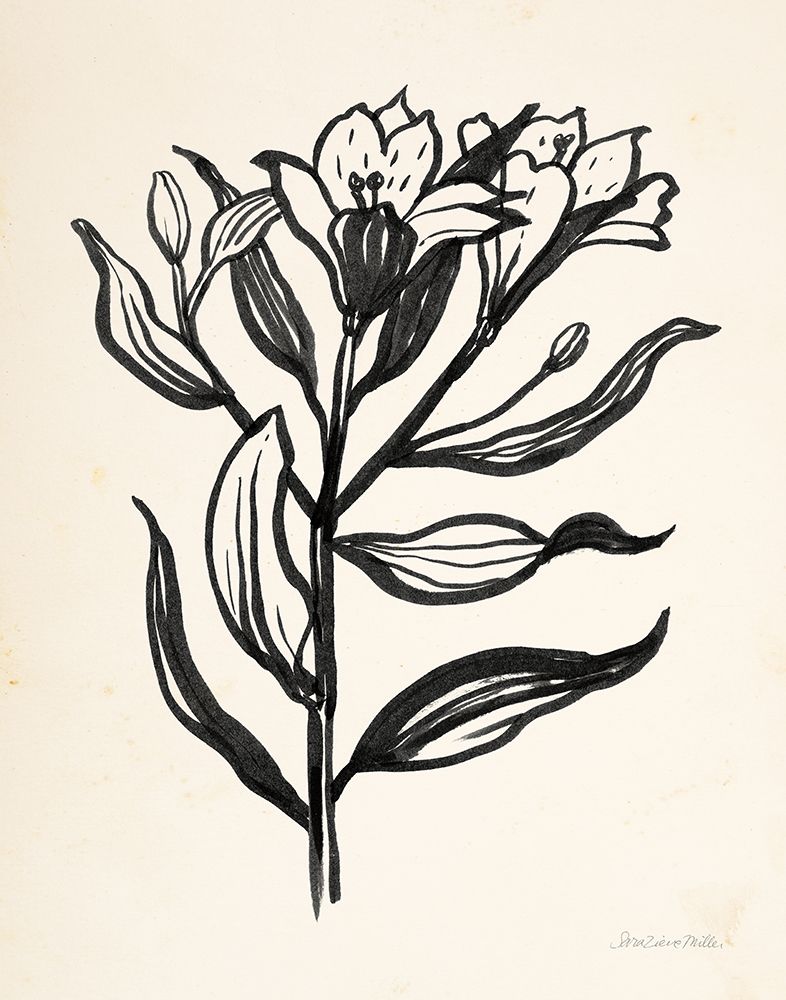 Ink Flower I Cream art print by Sara Zieve Miller for $57.95 CAD