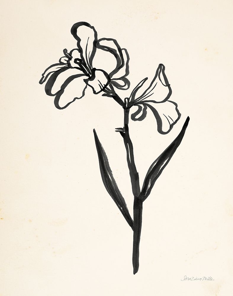 Ink Flower II Cream art print by Sara Zieve Miller for $57.95 CAD