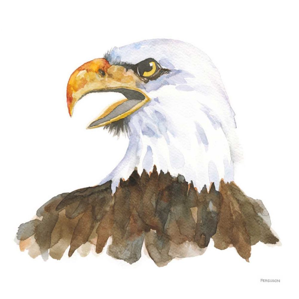 Bald Eagle art print by Kathy Ferguson for $57.95 CAD