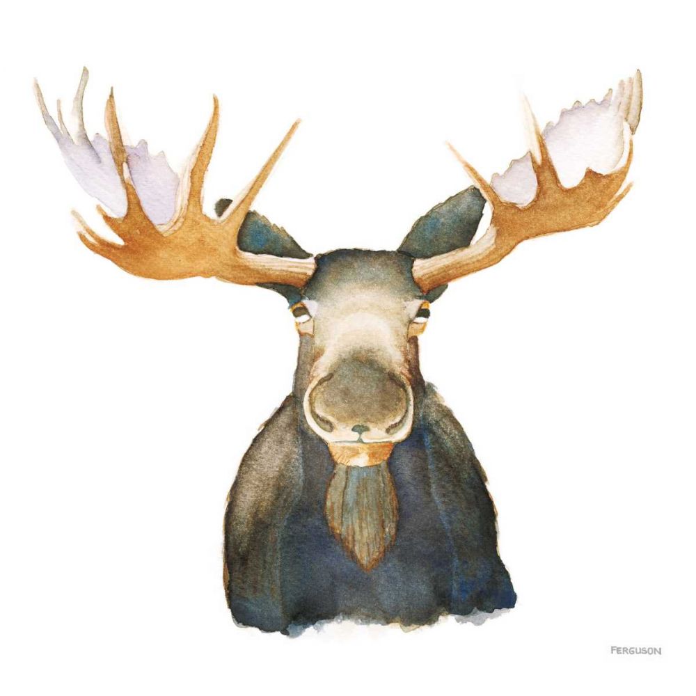 Moose art print by Kathy Ferguson for $57.95 CAD
