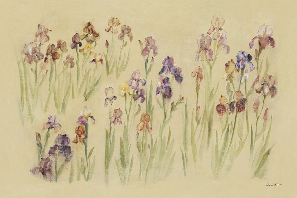 Field of Irises art print by Cheri Blum for $57.95 CAD