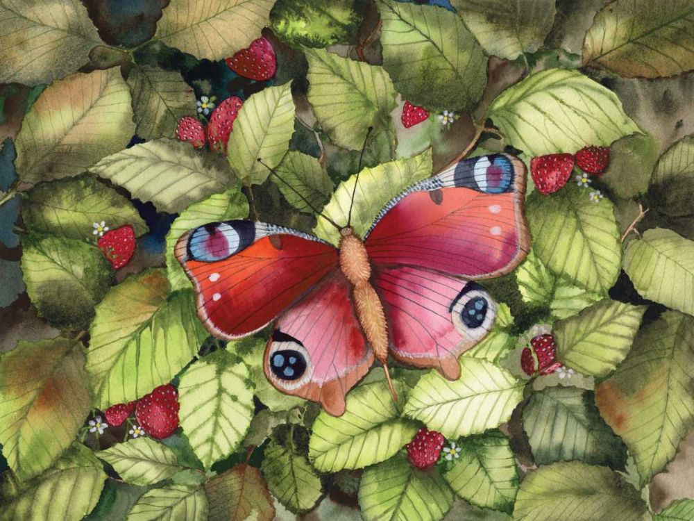 Majestic Butterfly art print by Kathleen Parr McKenna for $57.95 CAD