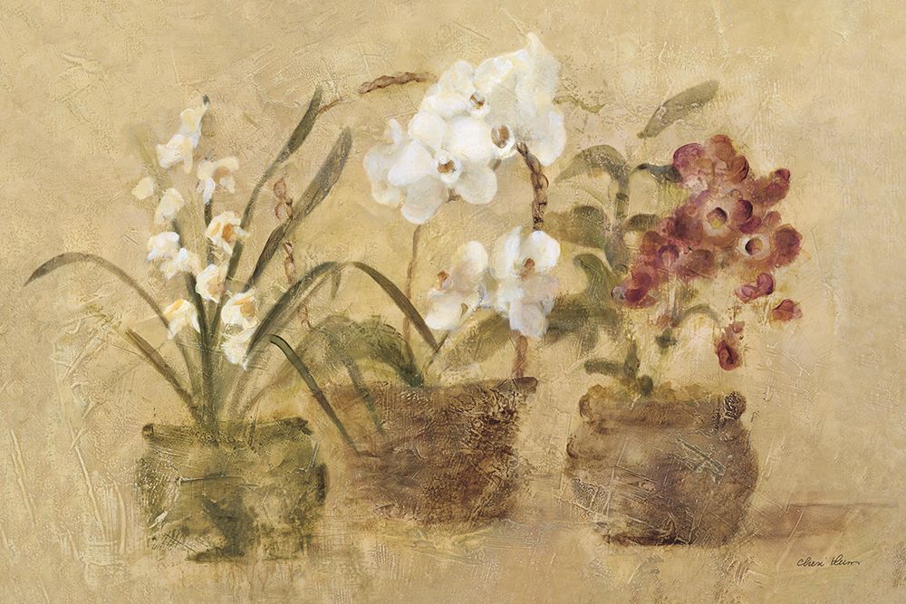 Collection of Orchids art print by Cheri Blum for $57.95 CAD
