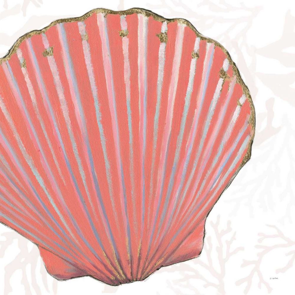 Shimmering Shells XI art print by James Wiens for $57.95 CAD