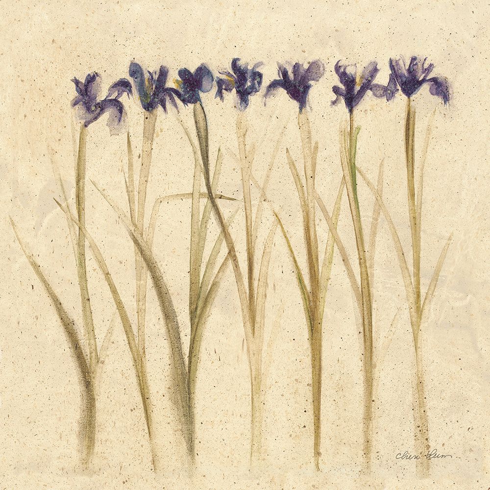 Stems of Iris art print by Cheri Blum for $57.95 CAD