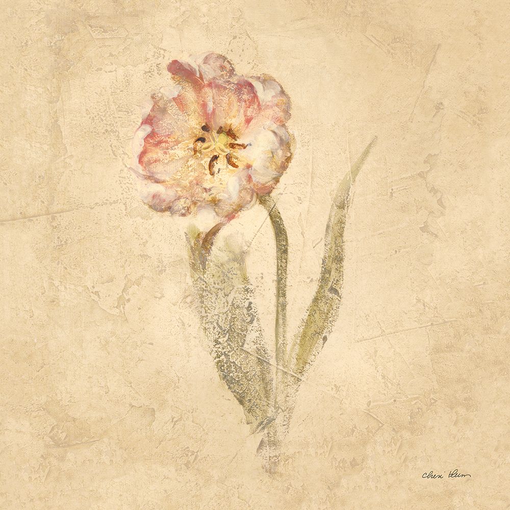 May Wonder Tulip art print by Cheri Blum for $57.95 CAD