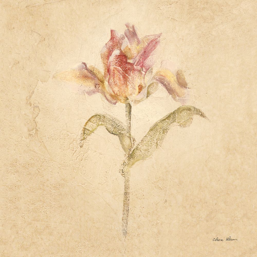 Zoomer Schoon Tulip art print by Cheri Blum for $57.95 CAD