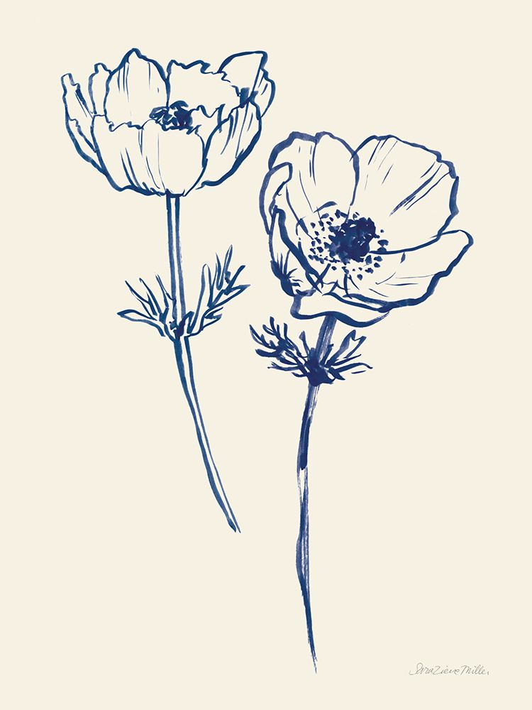 Ink Anemones I art print by Sara Zieve Miller for $57.95 CAD
