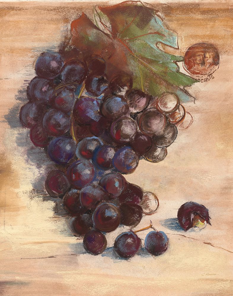 Grape Harvest III No Label art print by Carol Rowan for $57.95 CAD