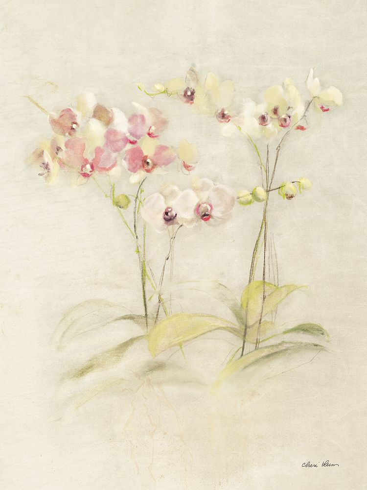 Orchids in Bloom I art print by Cheri Blum for $57.95 CAD
