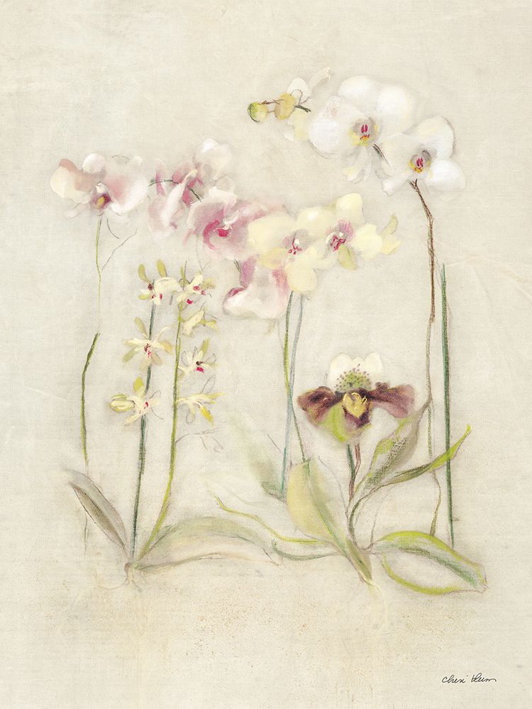 Orchids in Bloom II art print by Cheri Blum for $57.95 CAD