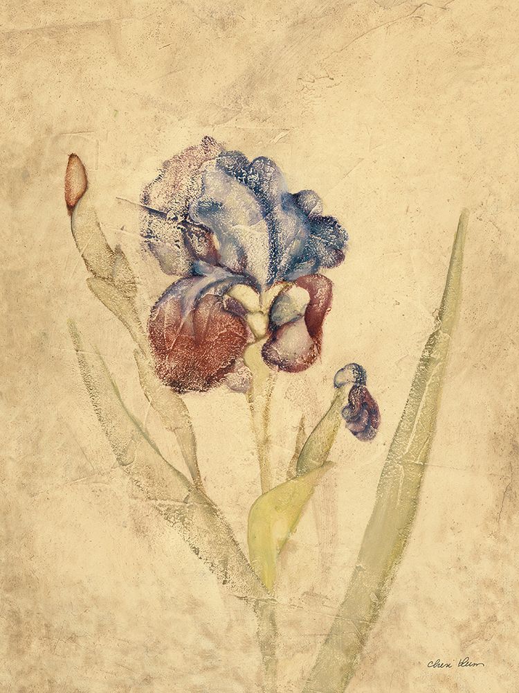 Rose Violet Iris art print by Cheri Blum for $57.95 CAD