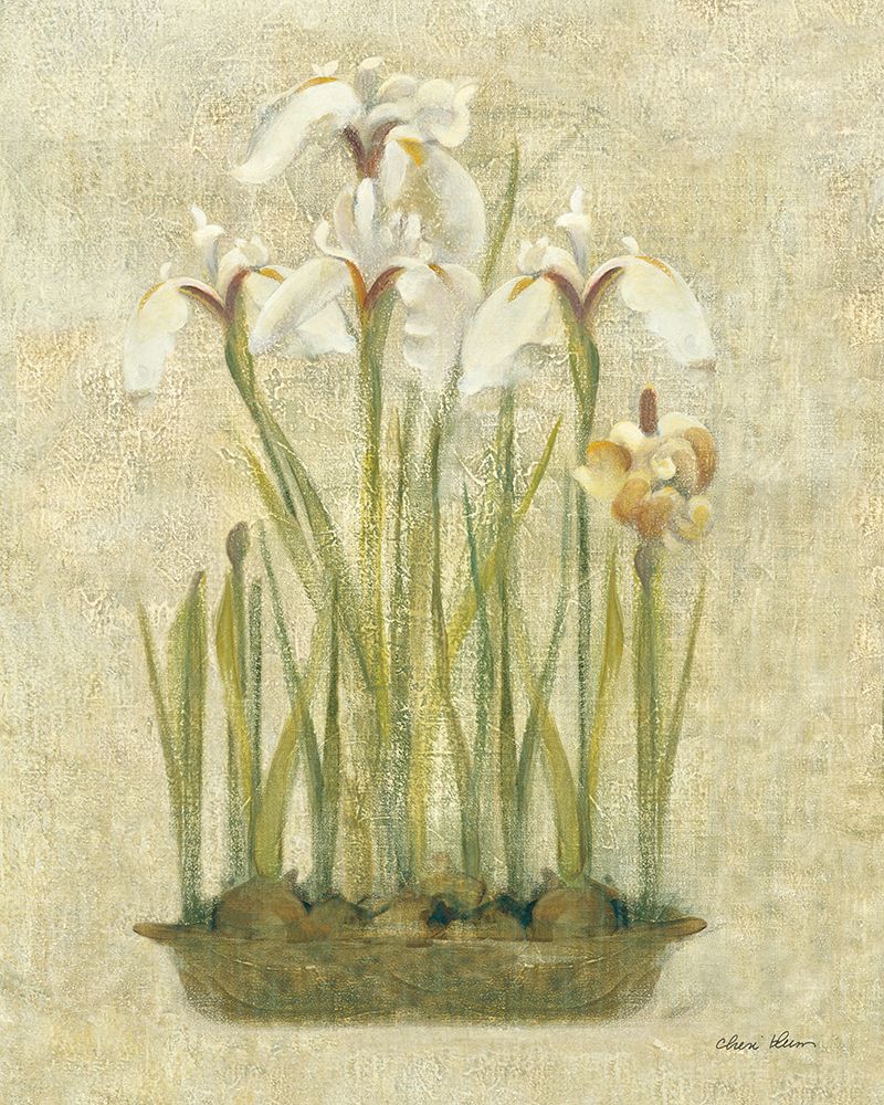 Bulbs of Spring II art print by Cheri Blum for $57.95 CAD