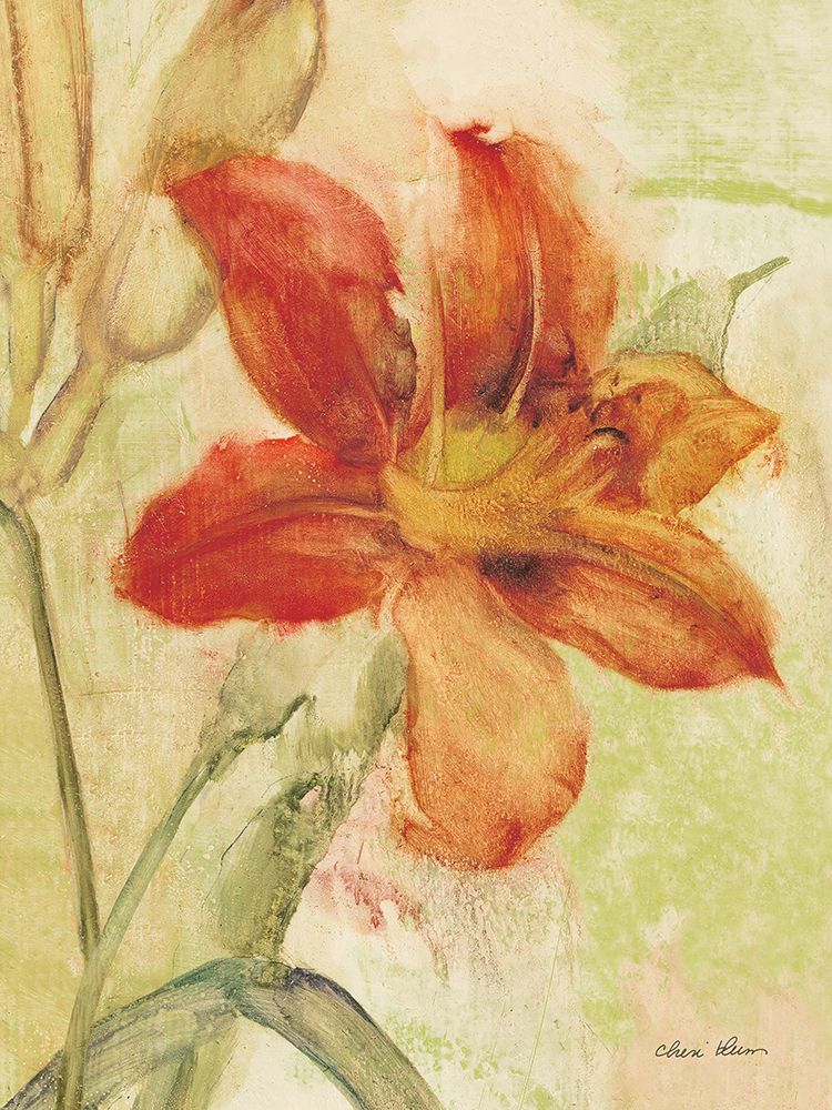 Orange Day Lily art print by Cheri Blum for $57.95 CAD
