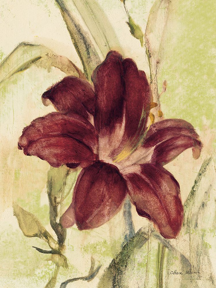 Burgundy Day Lily art print by Cheri Blum for $57.95 CAD