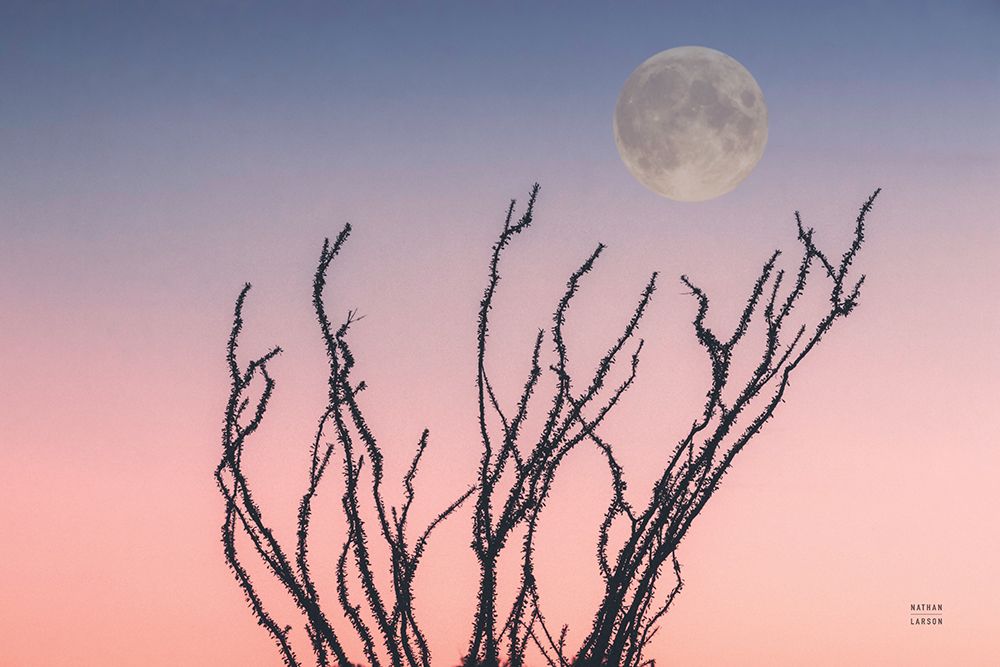 Reaching Up Moon art print by Nathan Larson for $57.95 CAD