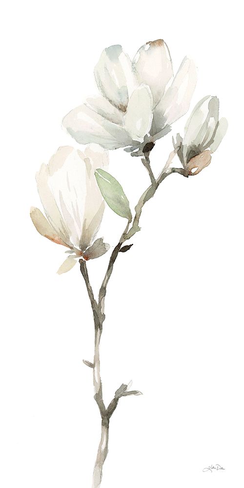 White Magnolia II art print by Katrina Pete for $57.95 CAD