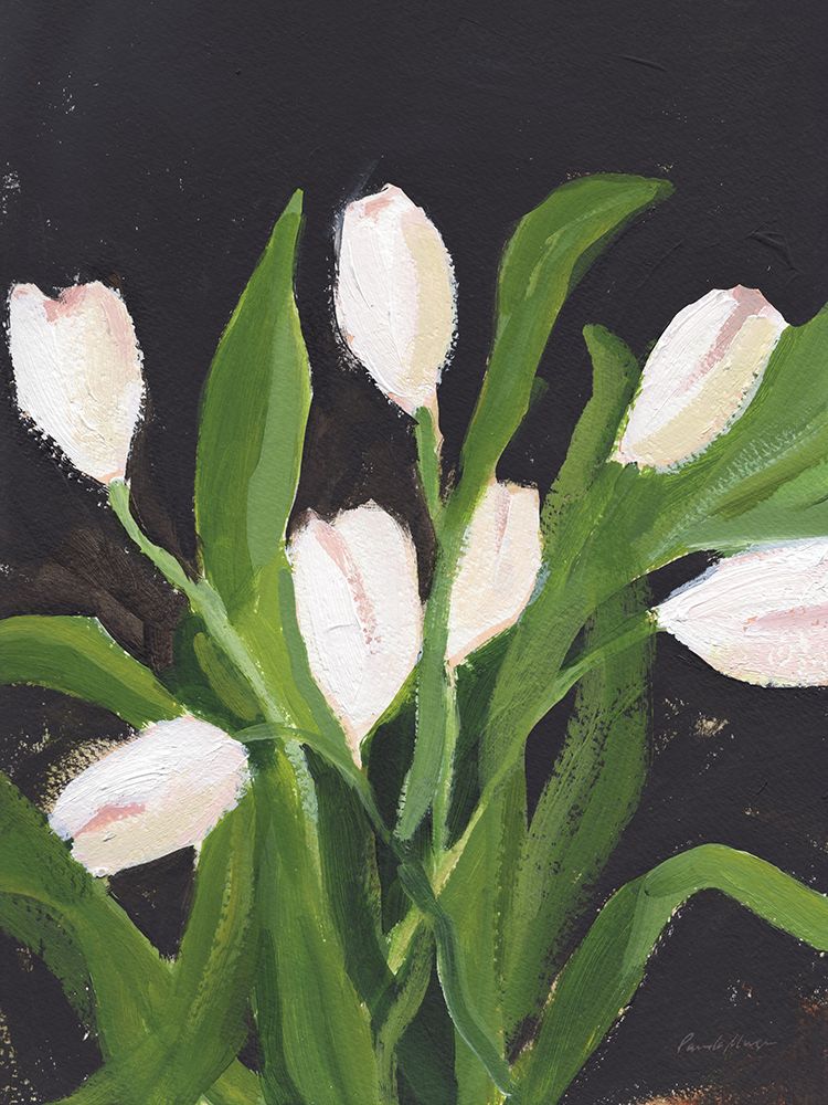 White Tulips on Black (1) art print by Pamela Munger for $57.95 CAD