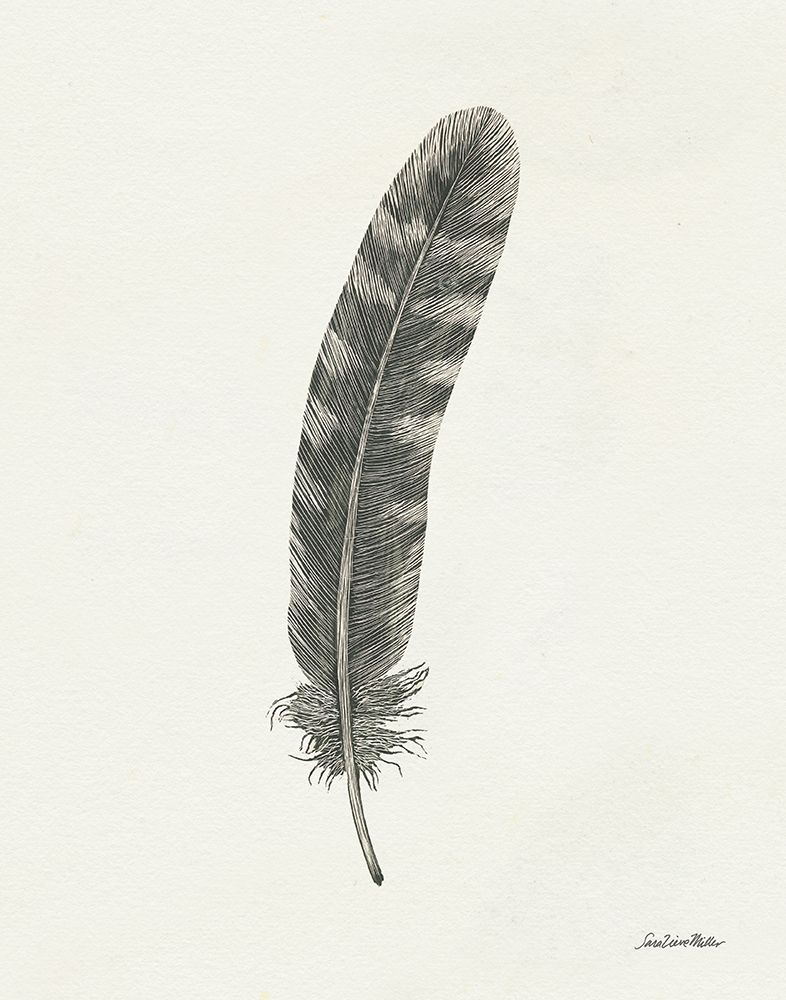 Springtime Feather I art print by Sara Zieve Miller for $57.95 CAD