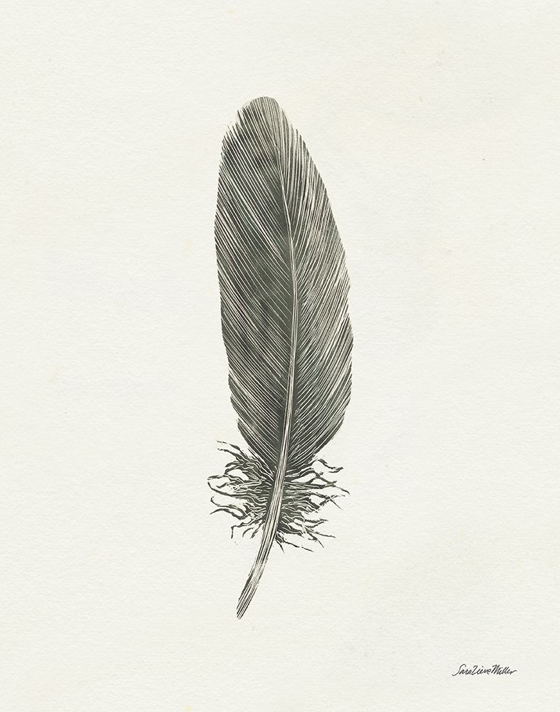 Springtime Feather II art print by Sara Zieve Miller for $57.95 CAD