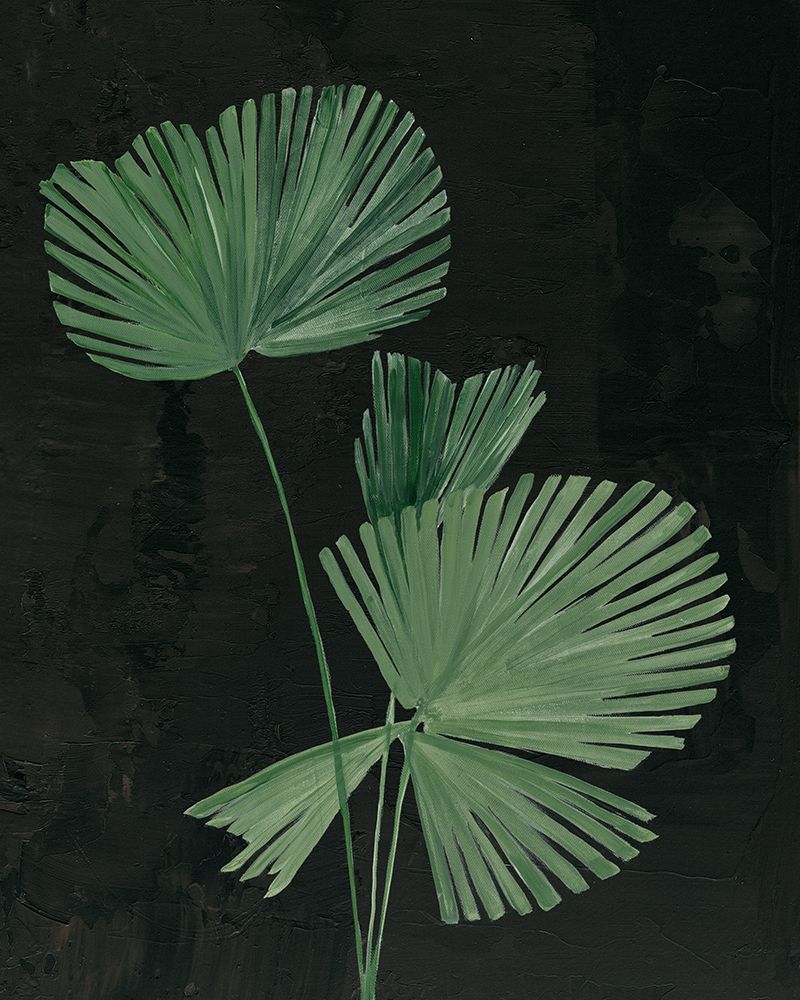 Palm Botanical III Black art print by Julia Purinton for $57.95 CAD