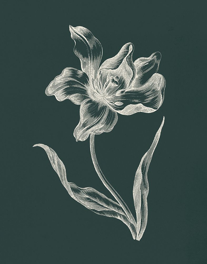 Eden Tulips I art print by Wild Apple Portfolio for $57.95 CAD