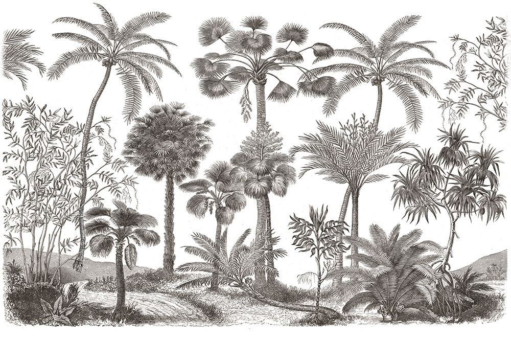 Palm Oasis III art print by Wild Apple Portfolio for $57.95 CAD