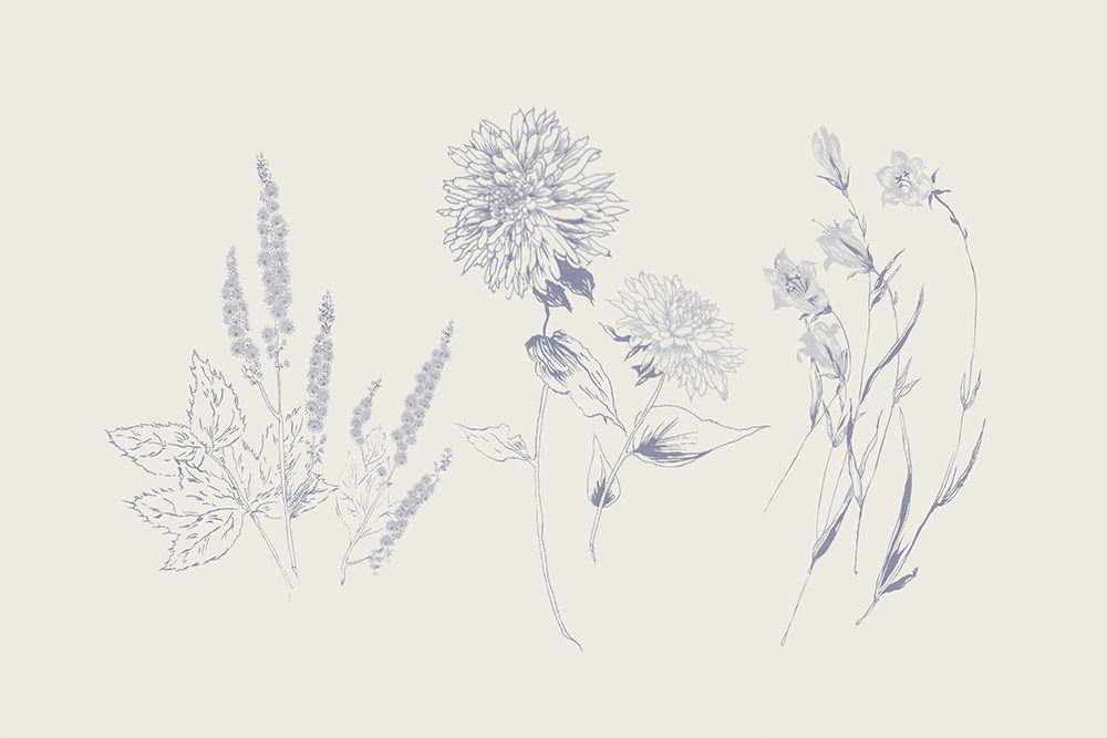 Flowers on White VIII Blue art print by Wild Apple Portfolio for $57.95 CAD