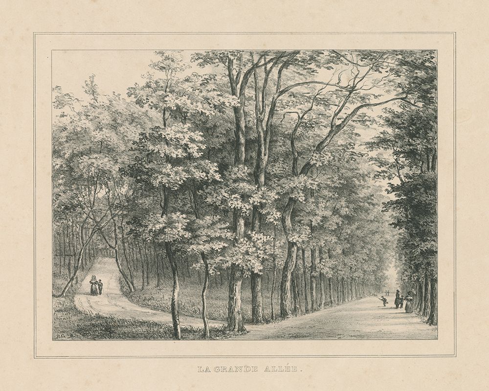French Park Etching II art print by Wild Apple Portfolio for $57.95 CAD