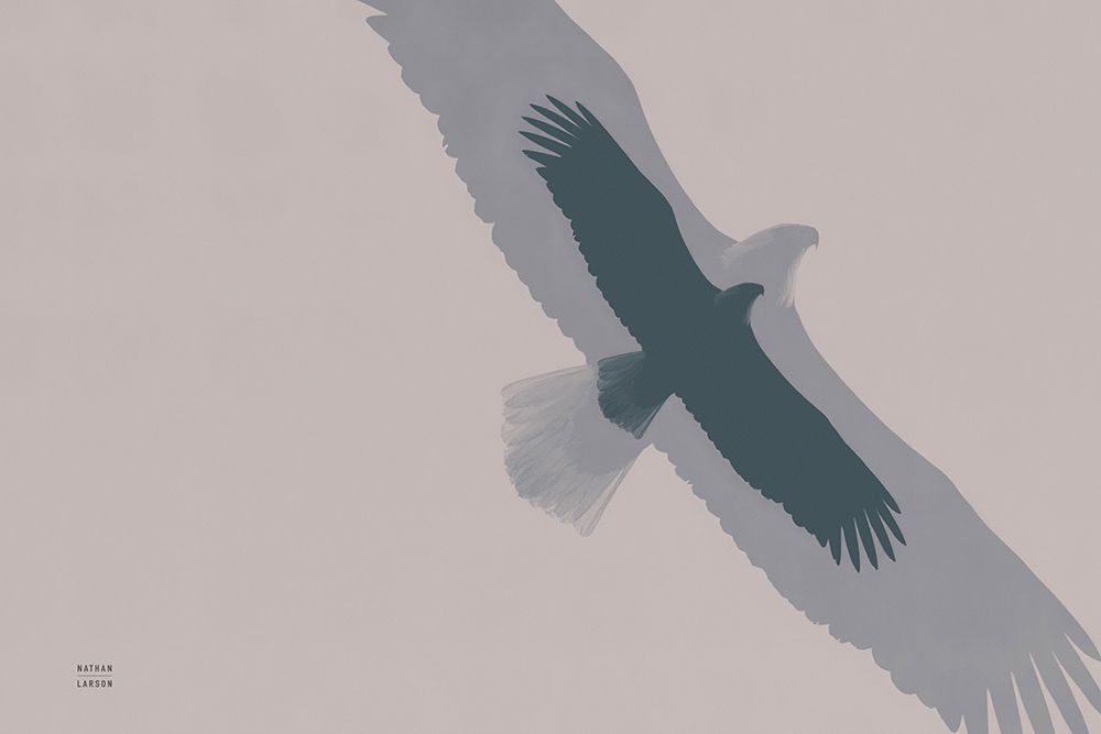 Double Eagle Flight art print by Nathan Larson for $57.95 CAD
