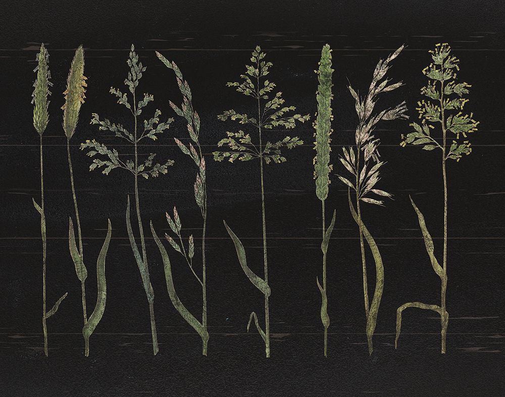 Herbal Botanical VII Black Wood No Words art print by Wild Apple Portfolio for $57.95 CAD